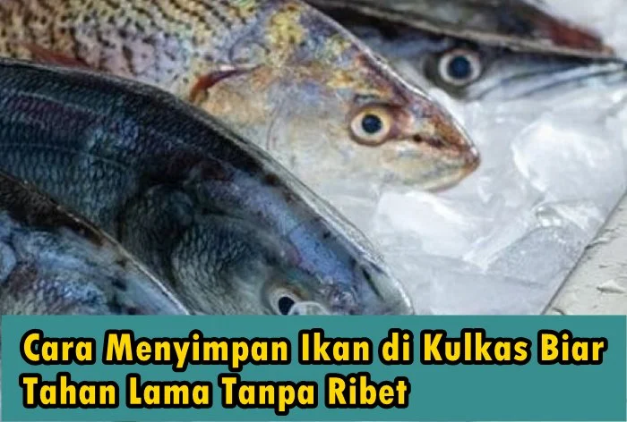 Cara Menyimpan Ikan di Kulkas Biar Tahan Lama Tanpa Ribet