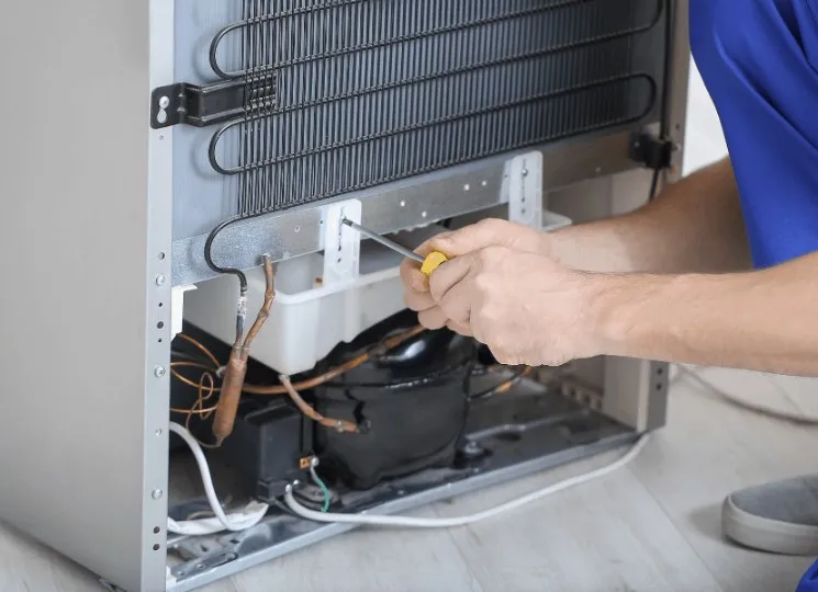 Kulkas Polytron 2 Pintu Bawah Tidak Dingin